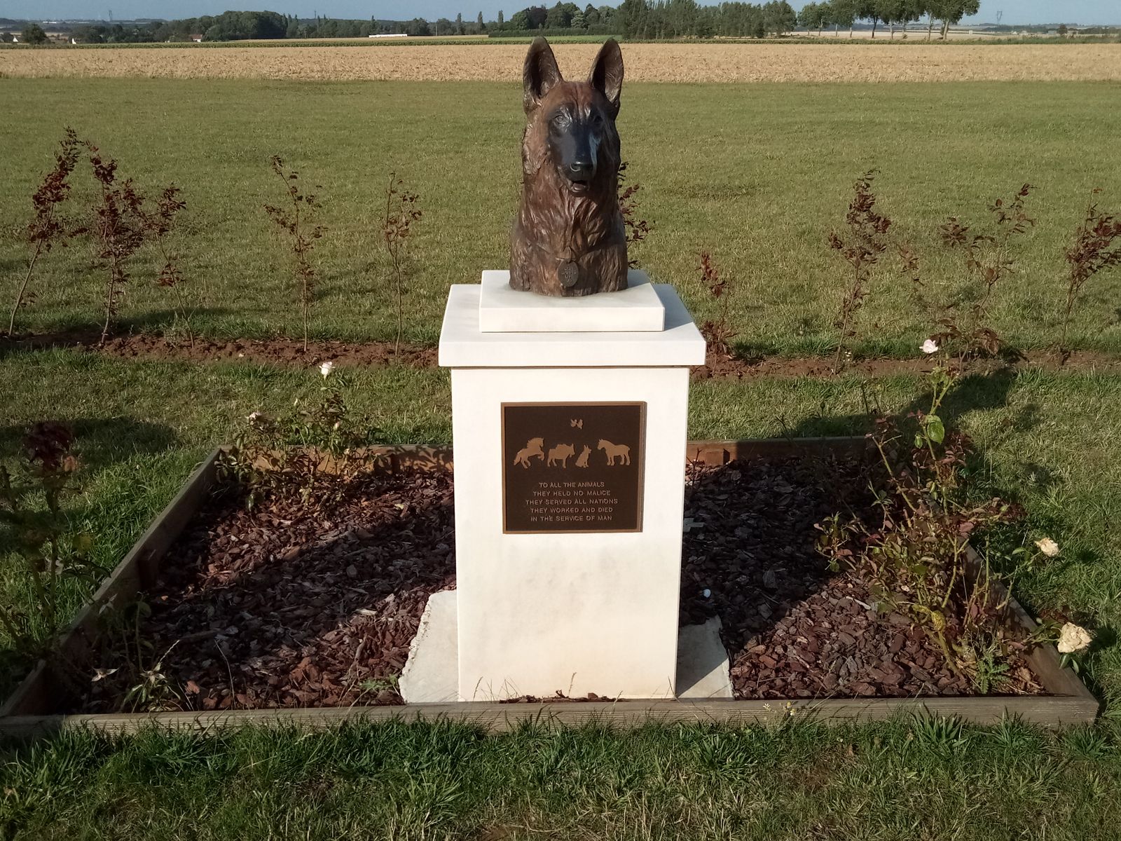 Mémorial pour les animaux à Pozières